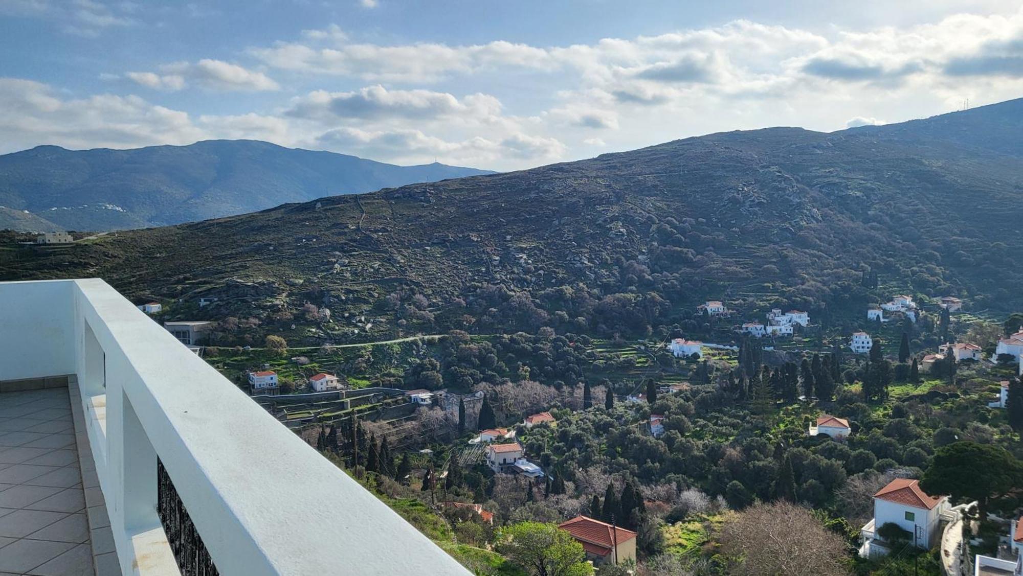 Eirini Home Ándros Buitenkant foto