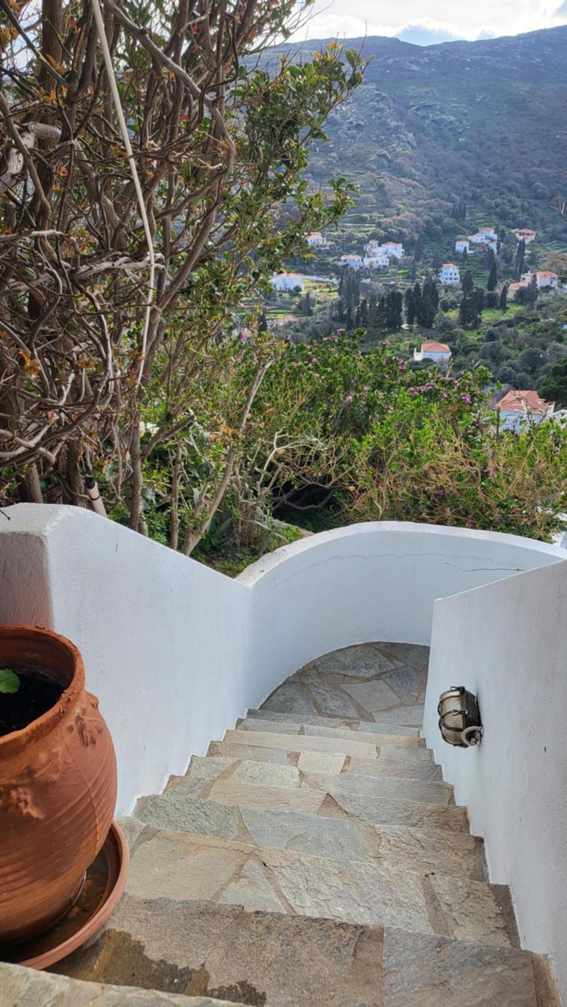 Eirini Home Ándros Buitenkant foto